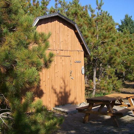 Hotel Little Cove Adventures Tobermory Exterior foto